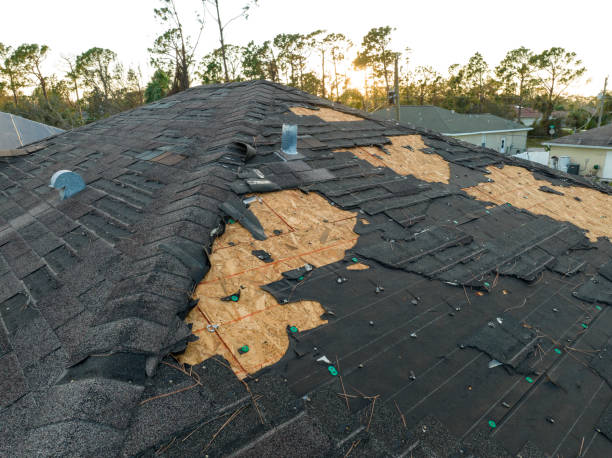 Best Roof Leak Repair  in Hidden Valley, IN